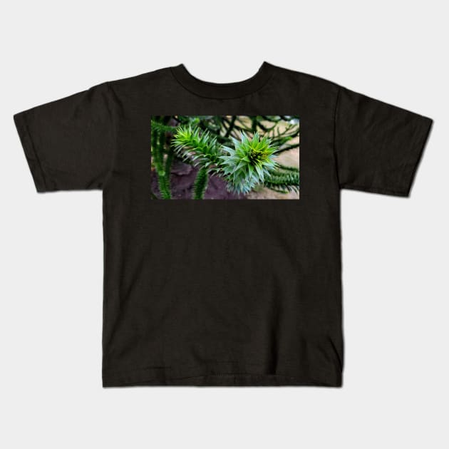 Monkey Puzzle Tree Kids T-Shirt by Rebekah Slick